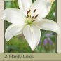 Bright Diamond Asiatic Lily 2 Bulbs Pure White 1416cm