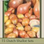 Dutch Yellow Shallots 15 Bulbs 713 cm bulbs