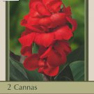 Happy Carmen CannaSol Gorgeous Red 2 Roots 35 Eyes Per Root