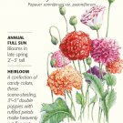 Poppy Peony Double Blend Seeds 1 gram