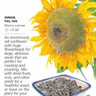 Organic Mongolian Giant Sunflower Seeds 12 Grams