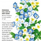 Cool Summer Breeze Viola Seeds 200 Mg
