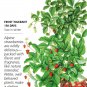 Red and Yellow Wonder Blend Strawberry Seeds 50mg