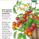 Organic Cherry Falls Bush Cherry Tomato Seeds 15 Seeds