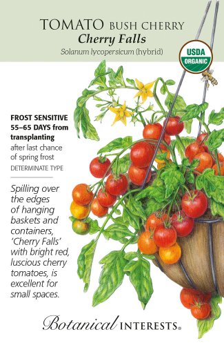 Organic Cherry Falls Bush Cherry Tomato Seeds 15 Seeds