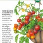 Organic Cherry Falls Bush Cherry Tomato Seeds 15 Seeds