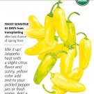 Organic NuMex Lemon Spice Jalapeño Chile Pepper Seeds 20 Seeds