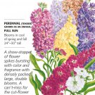 Column Blend Stock Seeds 100 Milligrams