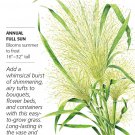 Frosted Explosion Grass Seeds 250 Mg