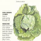 Great Lakes Crisphead Lettuce Seeds 1 gram Heirloom