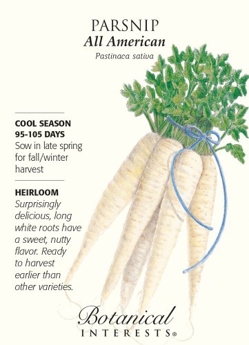 All American Parsnip Seeds 1 gram