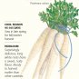 All American Parsnip Seeds 1 gram
