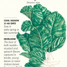 Tendergreen Mustard Spinach Seeds 3 grams Botanical Interests