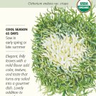 Olesh Tres Fine Endive Seeds 400 mg