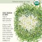 Olesh Tres Fine Endive Seeds 400 mg
