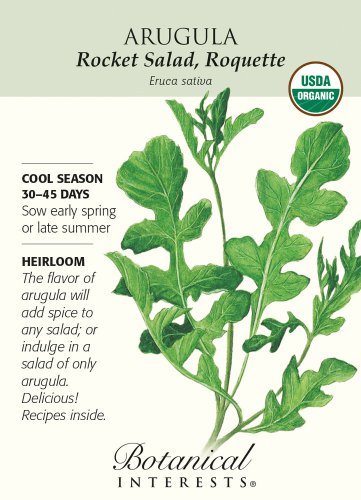 Organic Rocket SaladRoquette Arugula Seed 1g