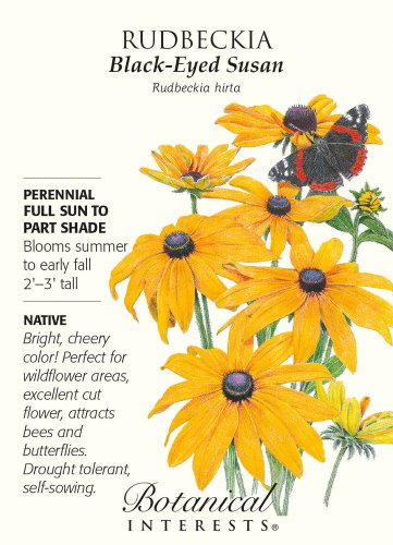 Black Eyed Susan Seeds 500 mg Rudbeckia