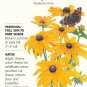 Black Eyed Susan Seeds 500 mg Rudbeckia