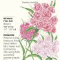 Sweet William Double Blend Seeds 750 mg
