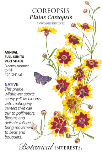 Plains Coreopsis Seeds 100 Mg