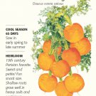 Tonda di Parigi Carrot Seeds 800 mg
