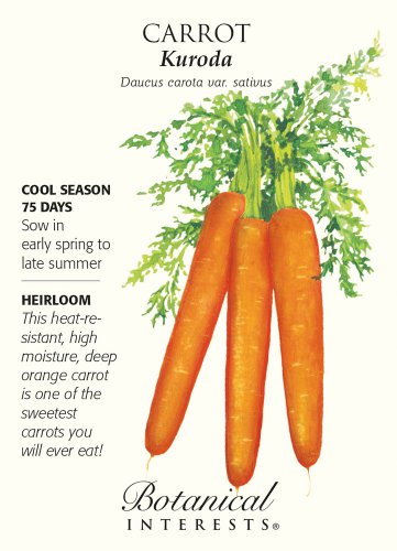 Shin Kuroda Carrot Seeds 1 gram Heirloom