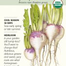 Purple Top White Globe ORGANIC Turnip Seeds 2 grams