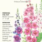 Shades of Summer Verbascum Mullein Seeds 400 mg