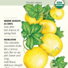 Lemon Cucumber Seeds 1 gram Organic