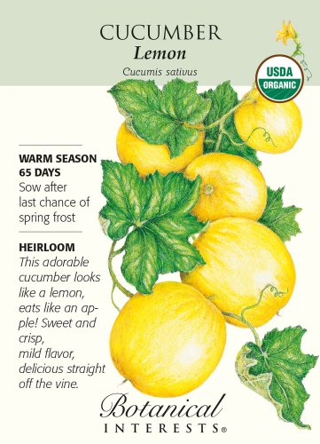 Lemon Cucumber Seeds 1 gram Organic