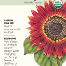 Organic Evening Sun Sunflower 500 Mg