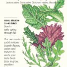 Chef's Choice Mesclun Lettuce Seeds 1.5 grams