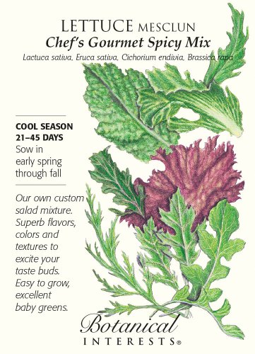 Chef's Choice Mesclun Lettuce Seeds 1.5 grams