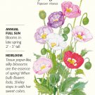 Shirley Single Blend Poppy Seeds 1 Gram