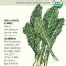 Italian Nero Toscana Kale Seeds 1 gram Organic Botanical Interests