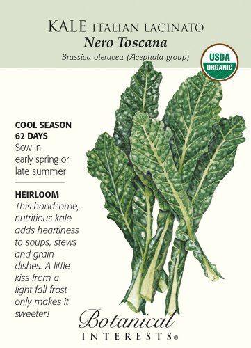 Italian Nero Toscana Kale Seeds 1 gram Organic Botanical Interests