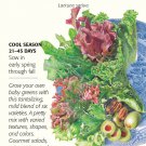 Farmer's Market Blend Mesclun Lettuce Seeds 1.5 grams