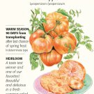 Pineapple Pole Tomato 25 Seeds Botanical Interests