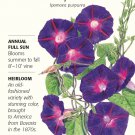 Grandpa Ott's Morning Glory Seeds 1.5 gram
