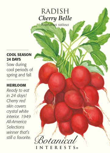 Cherry Belle Radish Seeds 6 grams