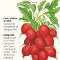 Cherry Belle Radish Seeds 6 grams