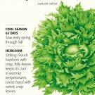 Ice Queen (Reine des Glaces) Batavia Lettuce Seeds 1 gram