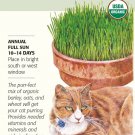 Organic Cat Grass Mix Seeds 15 grams