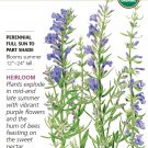 Organic True Hyssop Seeds 150 mg Botanical Interests