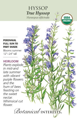 Organic True Hyssop Seeds 150 mg Botanical Interests