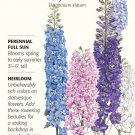 Pacific Giants Delphinium Seeds 200 mg