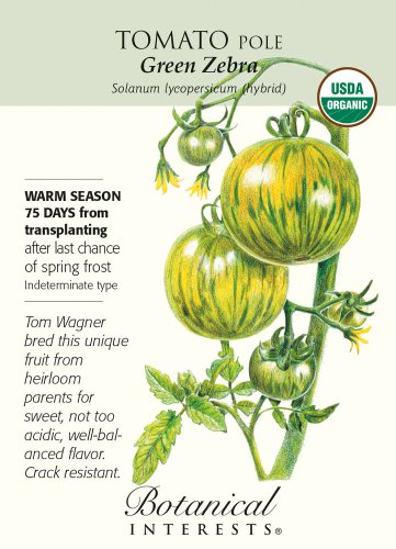 Organic Green Zebra Pole Tomato Seeds 25 Seeds