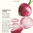 Red Amposta Onion Seeds 750mg