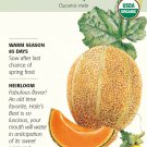 Hale's Best Jumbo Melon Seeds 1 gram Organic