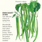 French Filet Bush Bean Seeds 20 grams